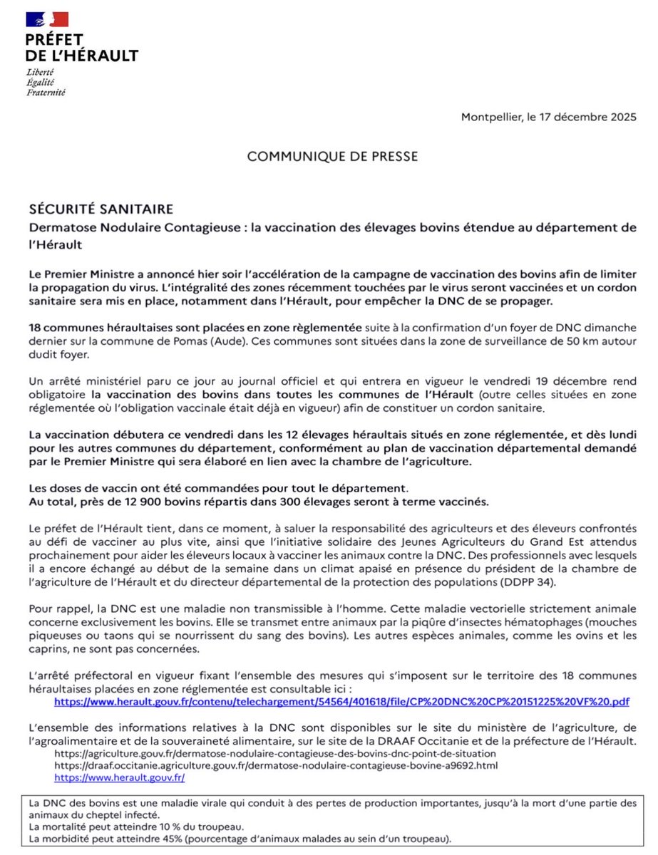 Image de Préfet de l'Hérault - 🐂 Dermatose Nodulaire Contagieuse&nbsp;(DNC) : la vaccination des élevages bovins étendue au département