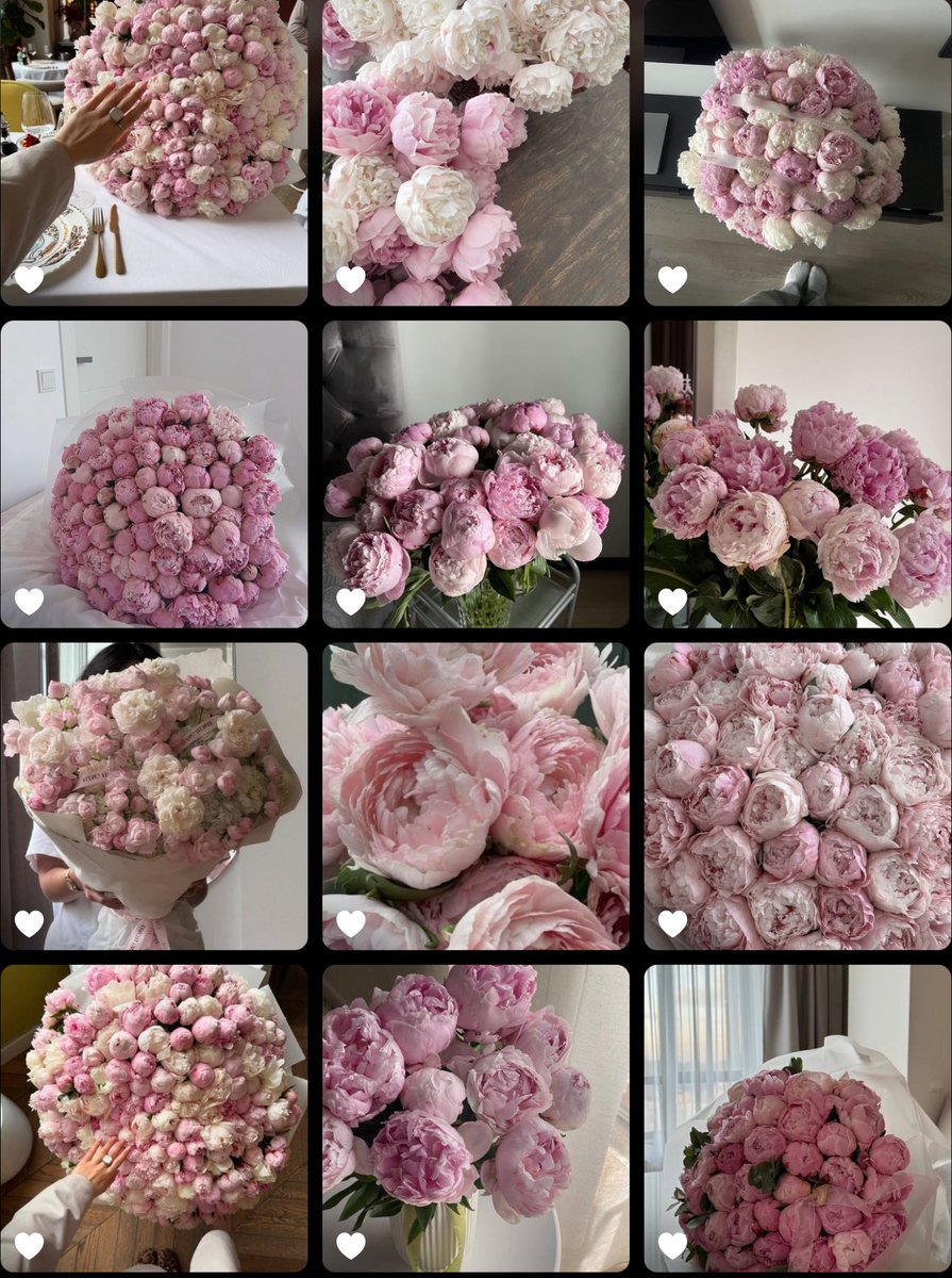 1leio's tweet image. Peonies flowers