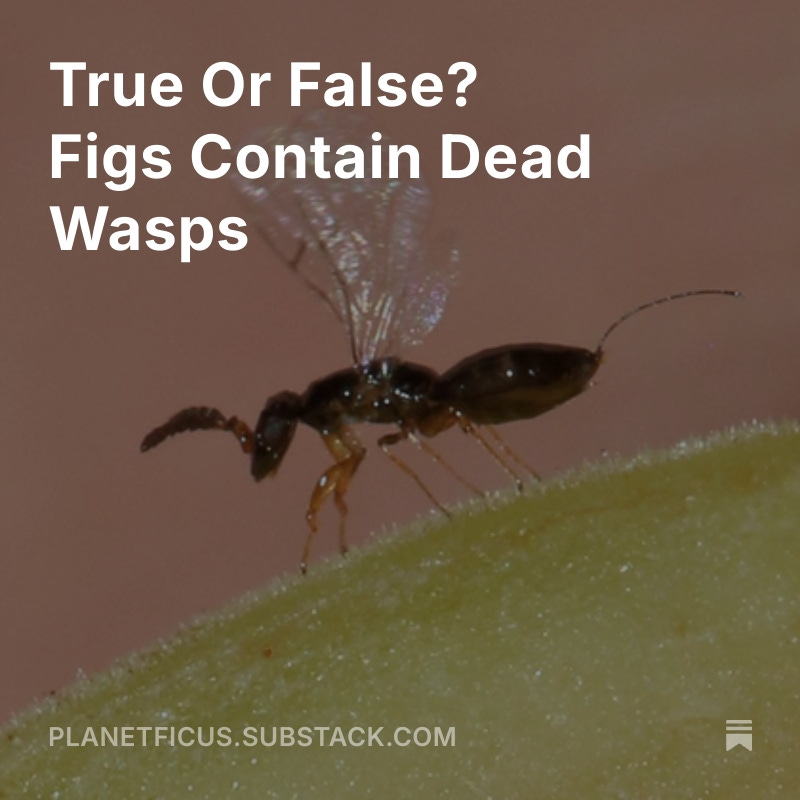 Mike Shanahan tweet media