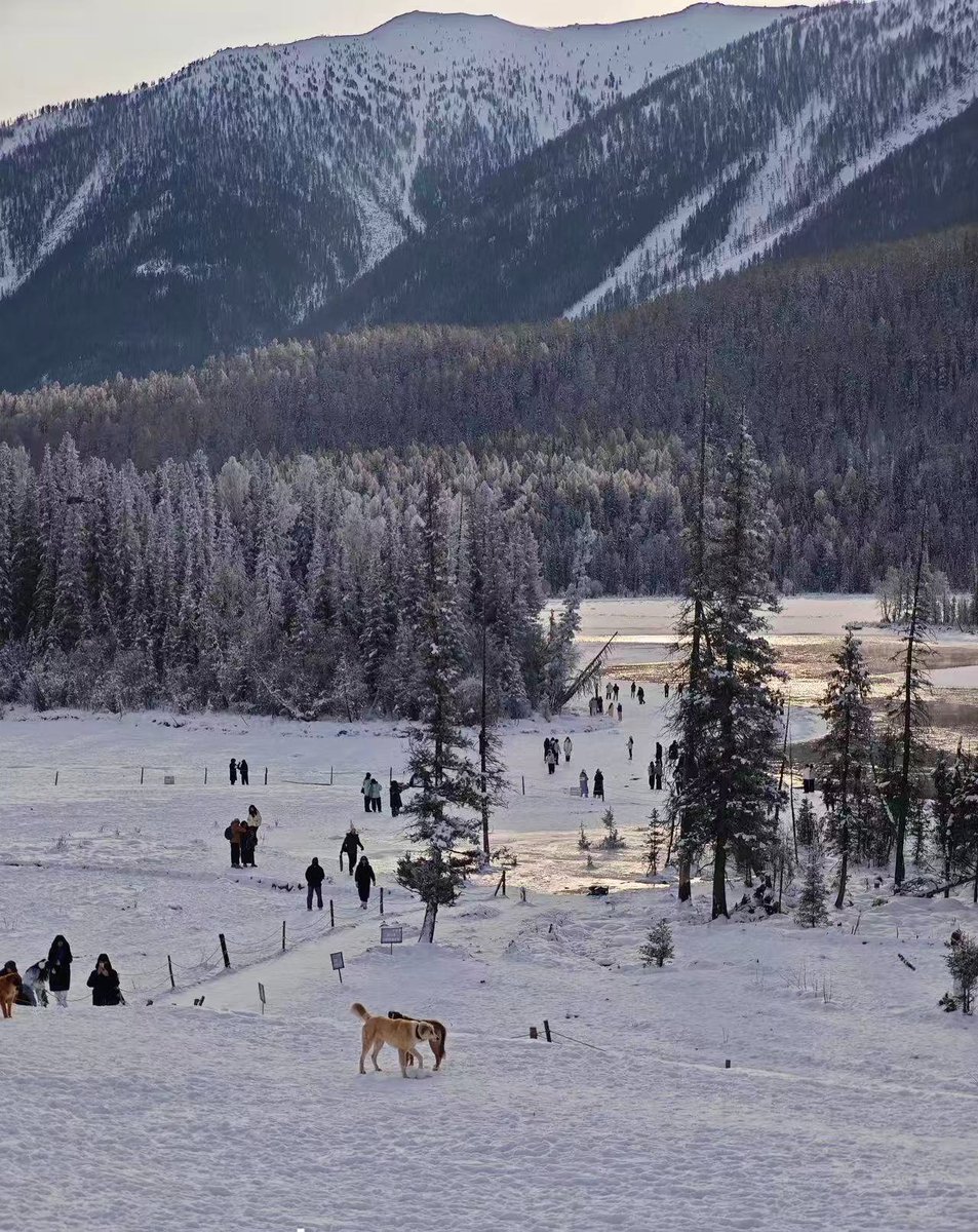 sofer1230's tweet photo. 冬日新疆美景 https://t.co/9BVm2vcJQc