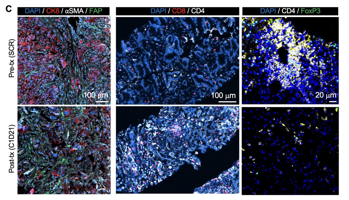 Anirban Maitra tweet media