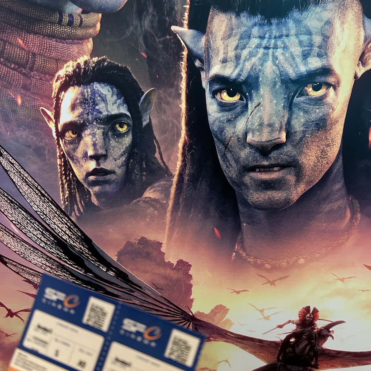 oltecld's tweet image. 