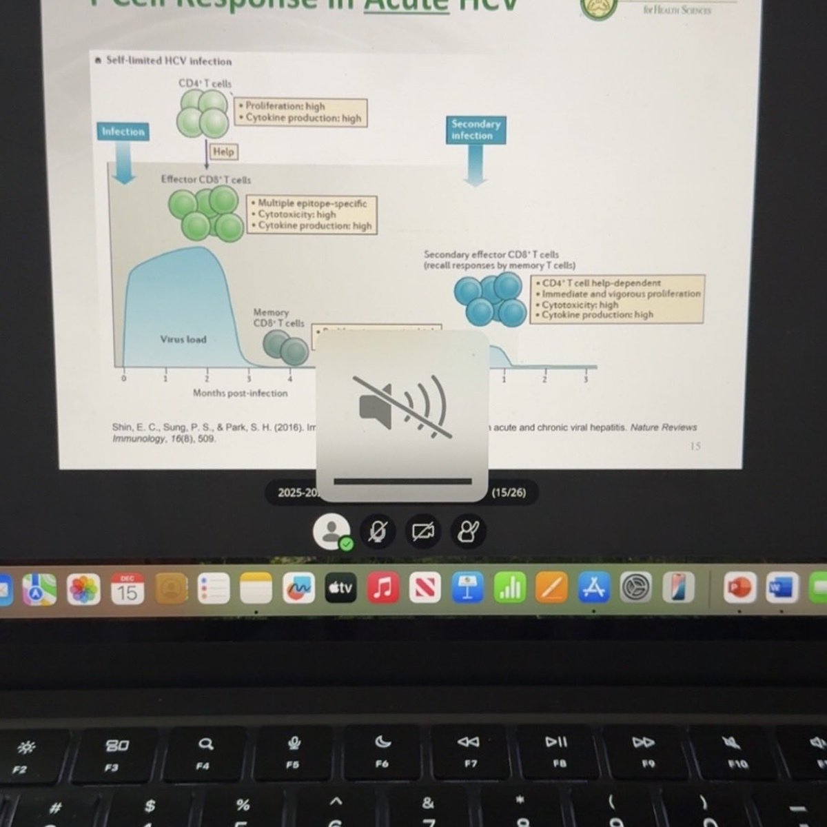 aseeelsh's tweet image. Latelyyy