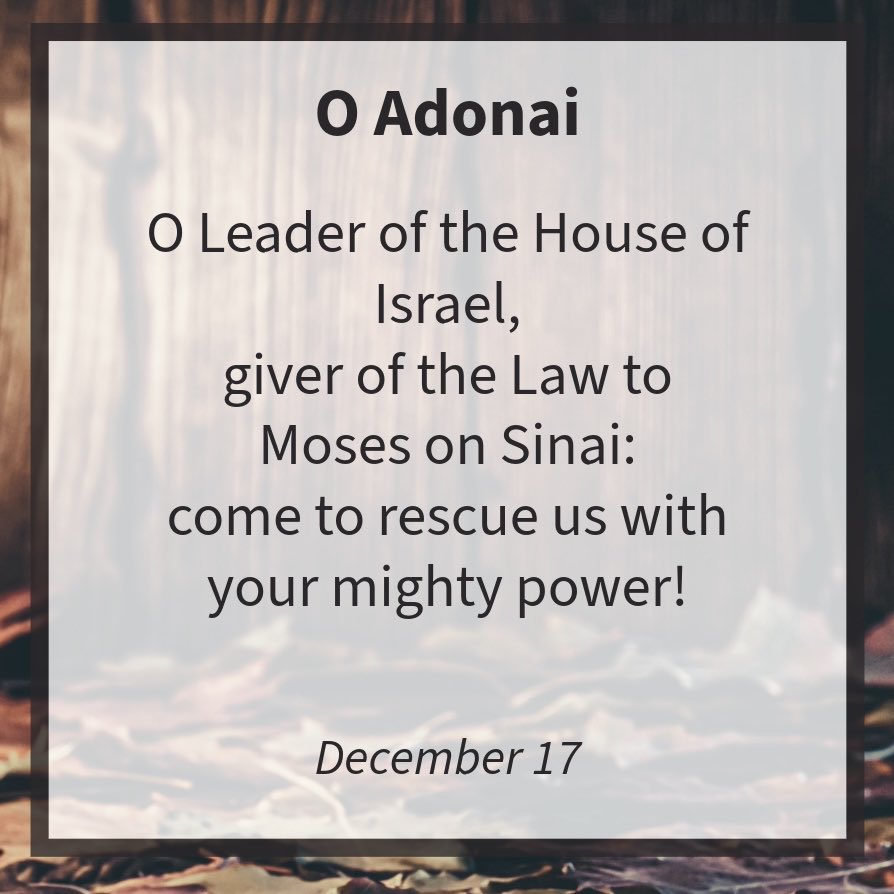 Reading For The Glory tweet media