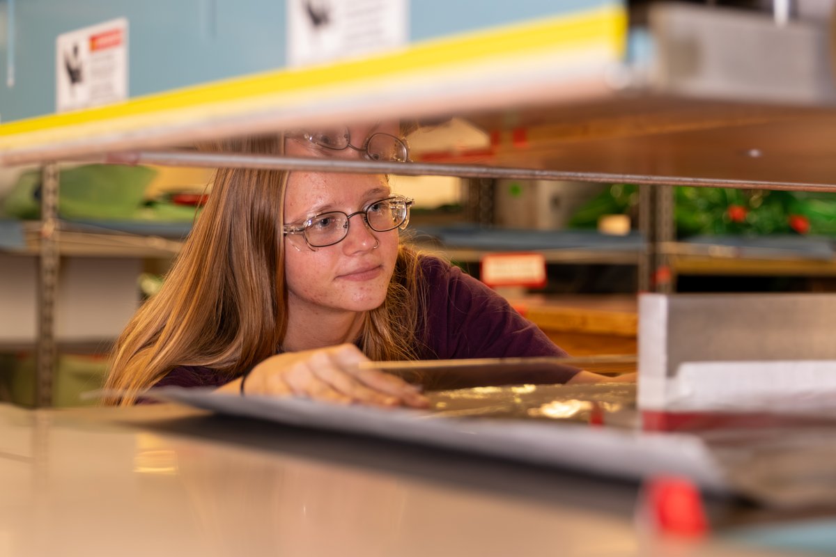 NNSYNews's tweet image. Be sure to tune in to the NNSY Facebook page tonight at 6 p.m. for the 2025 Apprentice Graduation! Check out an album of some of our apprentices here: facebook.com/media/set/?van…

#NNSY #Apprentices #ForceBehindTheFleet