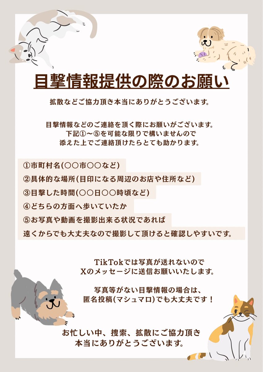 ちい🆘茨城県小美玉市田木谷 迷子犬を探しています tweet media