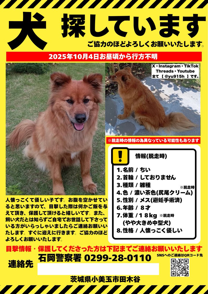 ちい🆘茨城県小美玉市田木谷 迷子犬を探しています tweet media