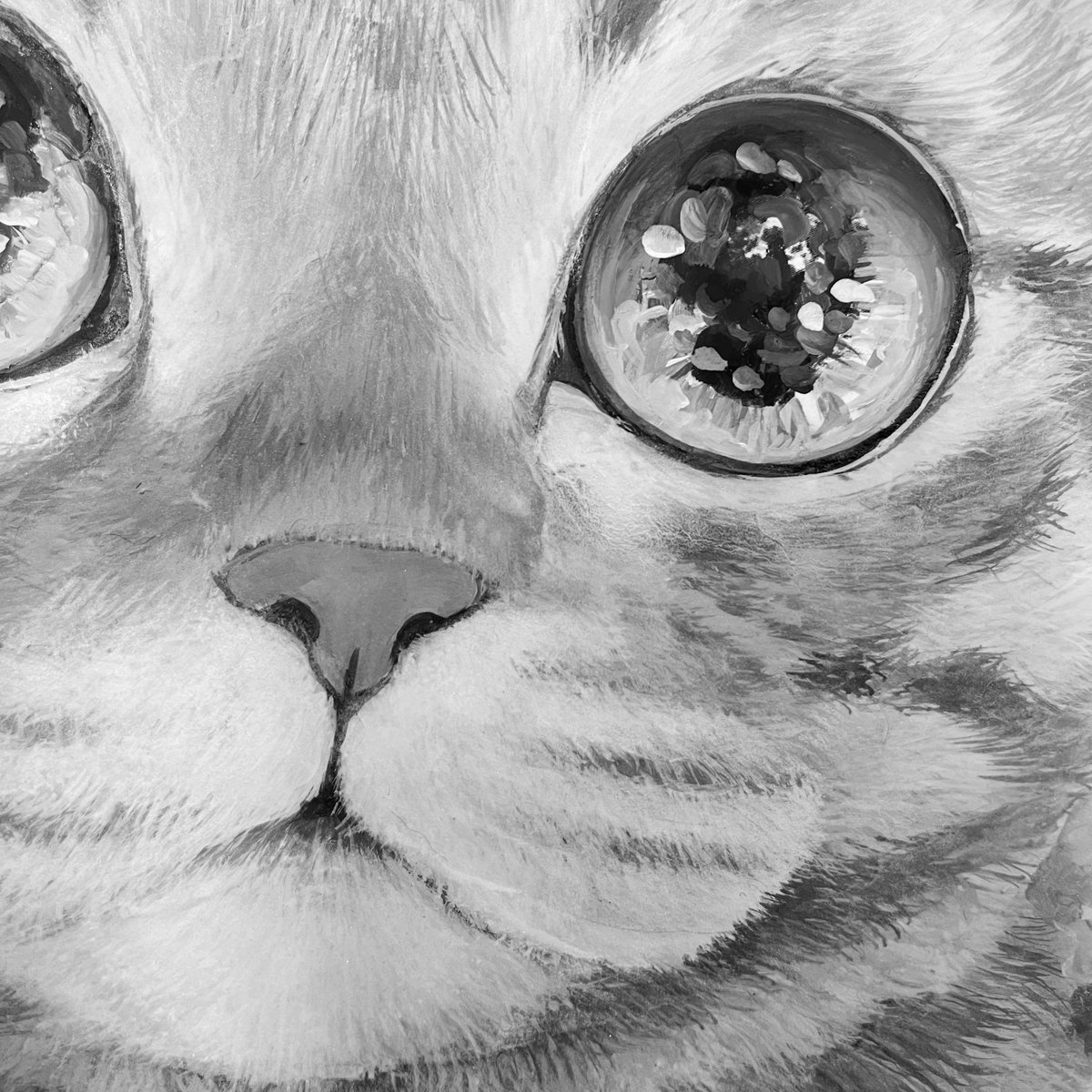 Post by 福嶋吾然有 on X: 🐯🐯🐯