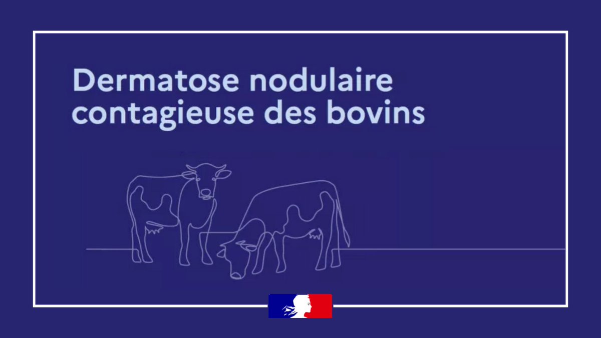 Image de Préfète de la Creuse - #SantéAnimale | Anne FRACKOWIAK-JACOBS #Préfète23 a réuni les représentants de la profession agricol