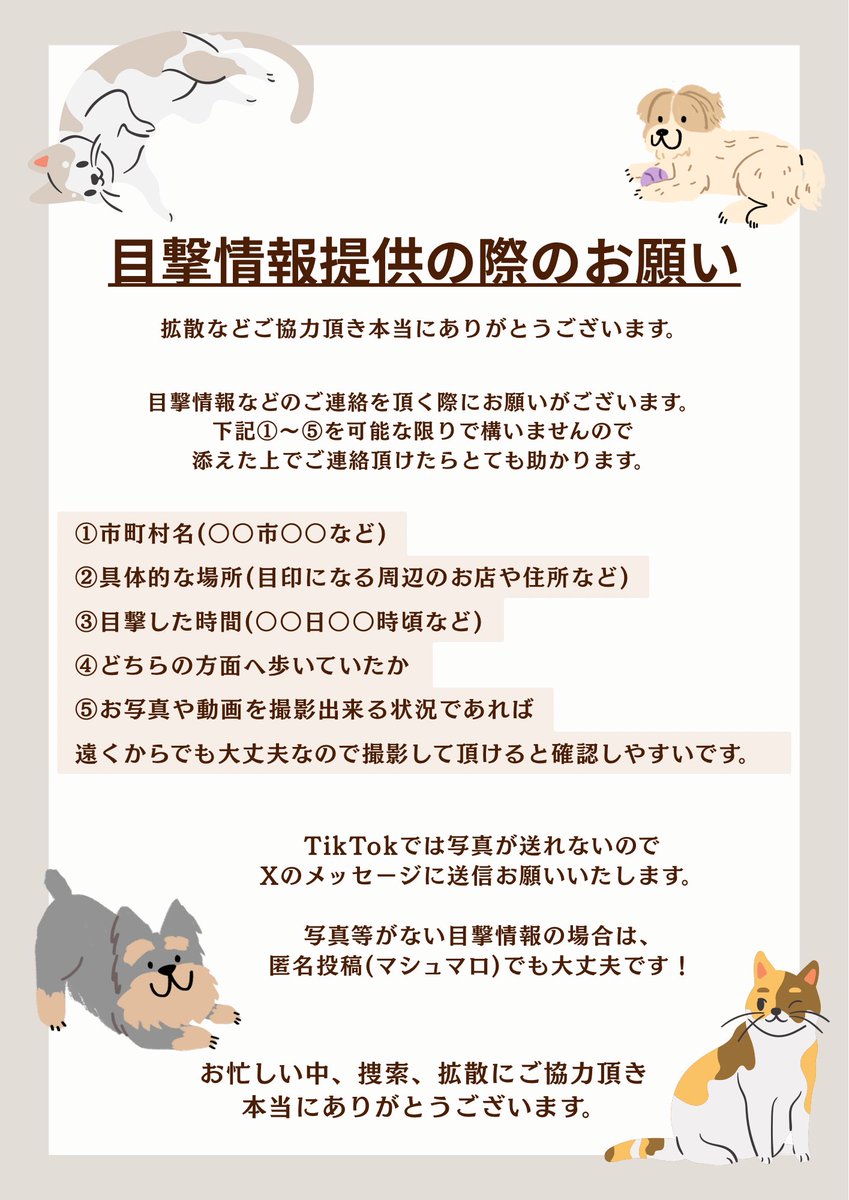 ちい🆘茨城県小美玉市田木谷 迷子犬を探しています tweet media