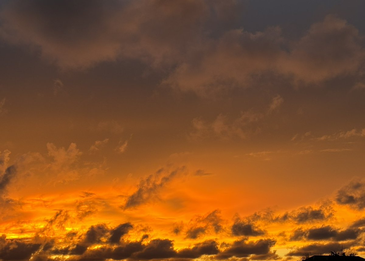 Taleofwave's tweet image. Today’s 6pm vibes.