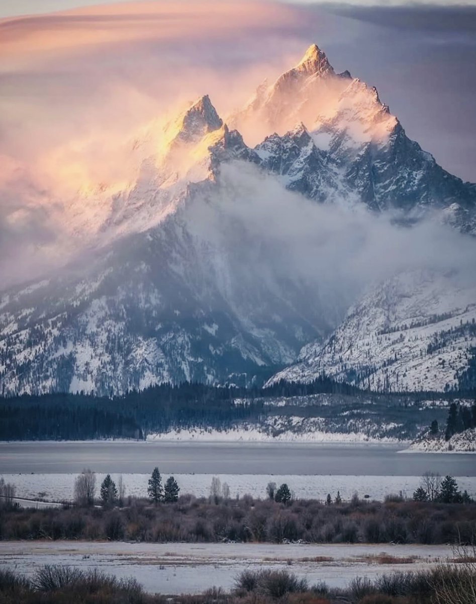 IanPlayerFdn's tweet image. The call of the wild…