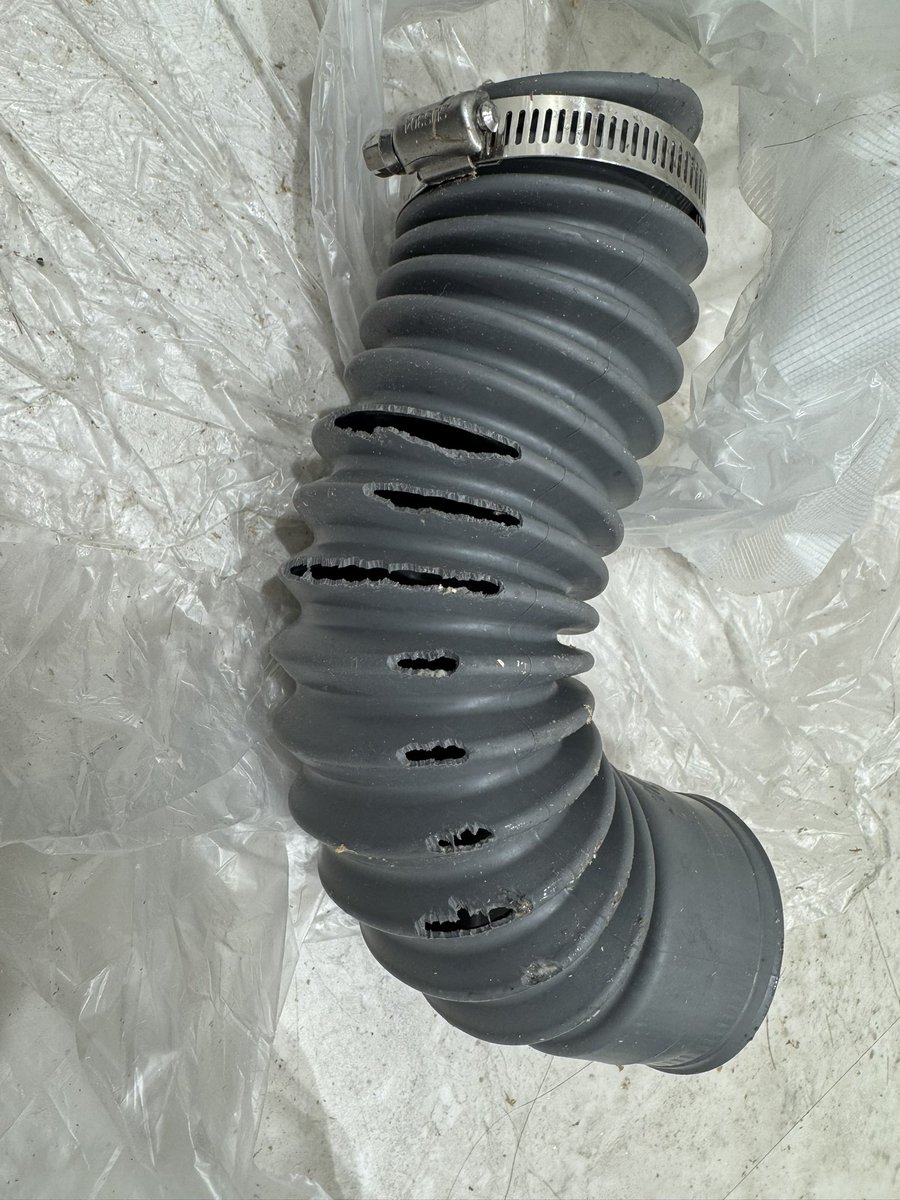 さっちゃん (@sa_chan40) / Posts / X