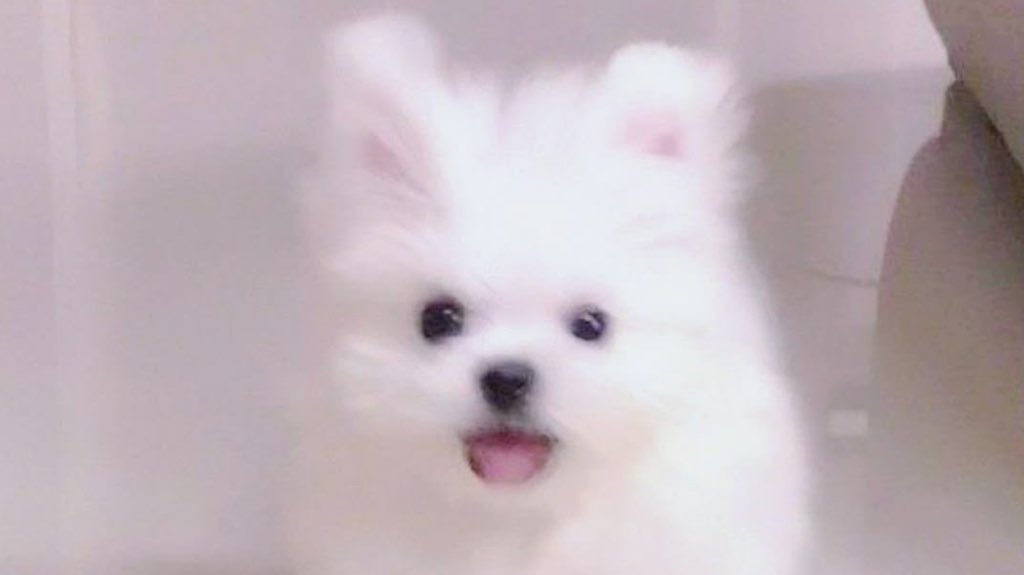 ตุวหนัยมันฟู สุด