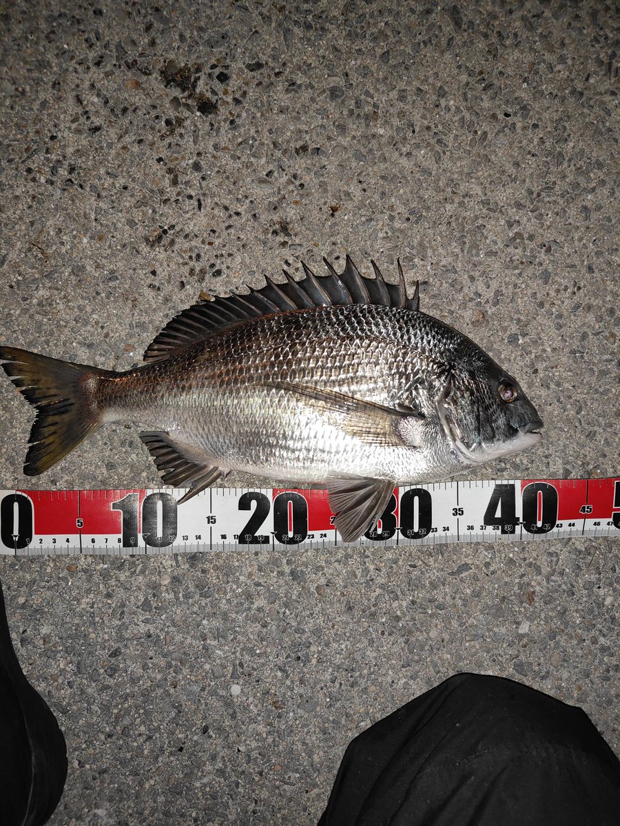 いっちー (@Capone_2000) / Posts / X