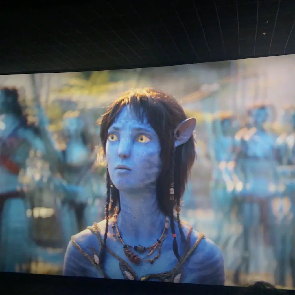 balonnujuuu tweet media