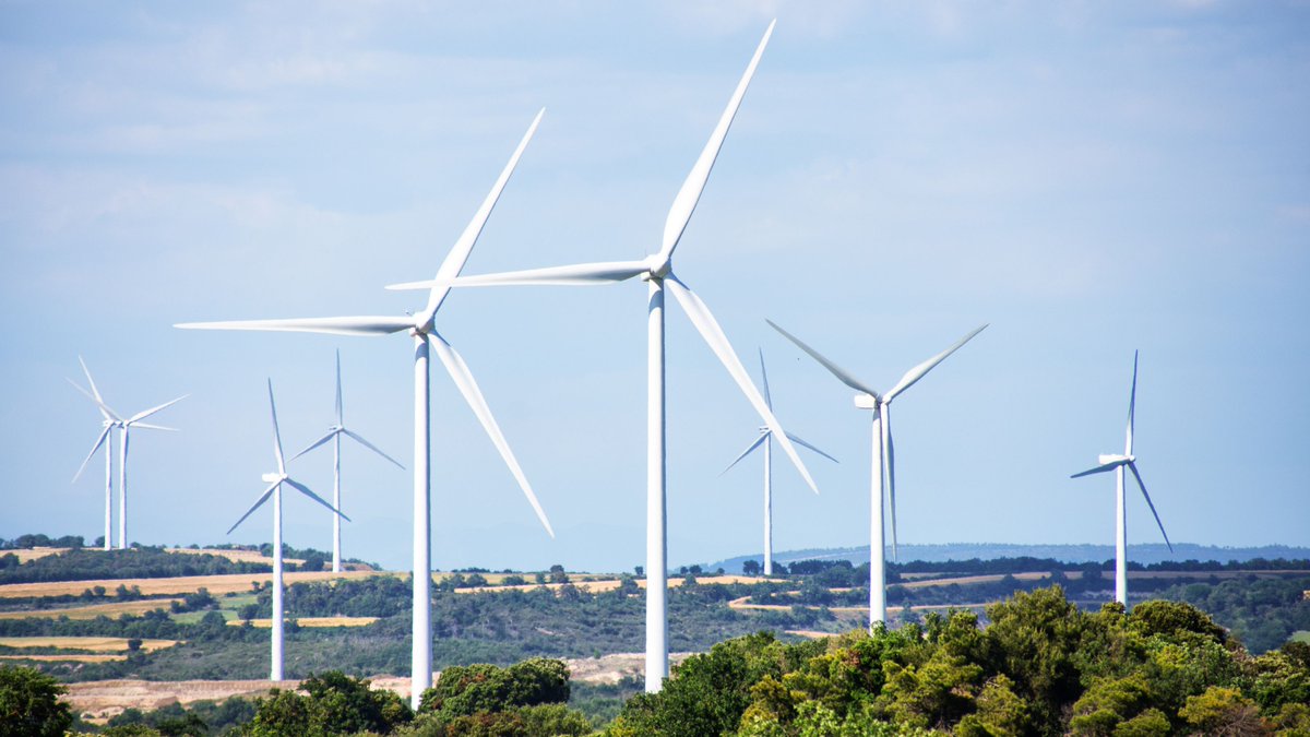 Transició Ecològica tweet media