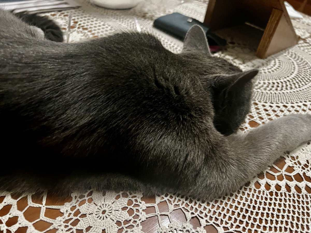 stuffymint's tweet image. Who wants a shoulder to lean on nowadays?