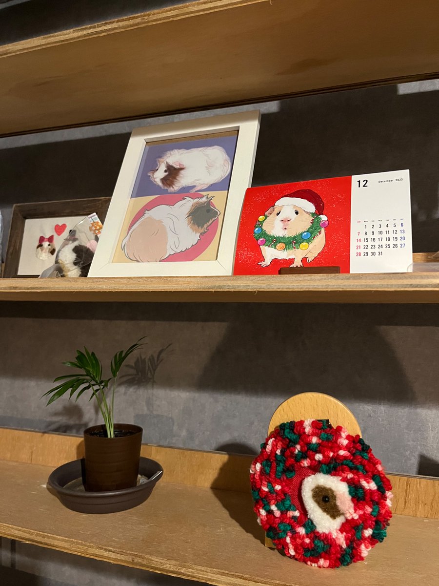 クリスマス感🎄