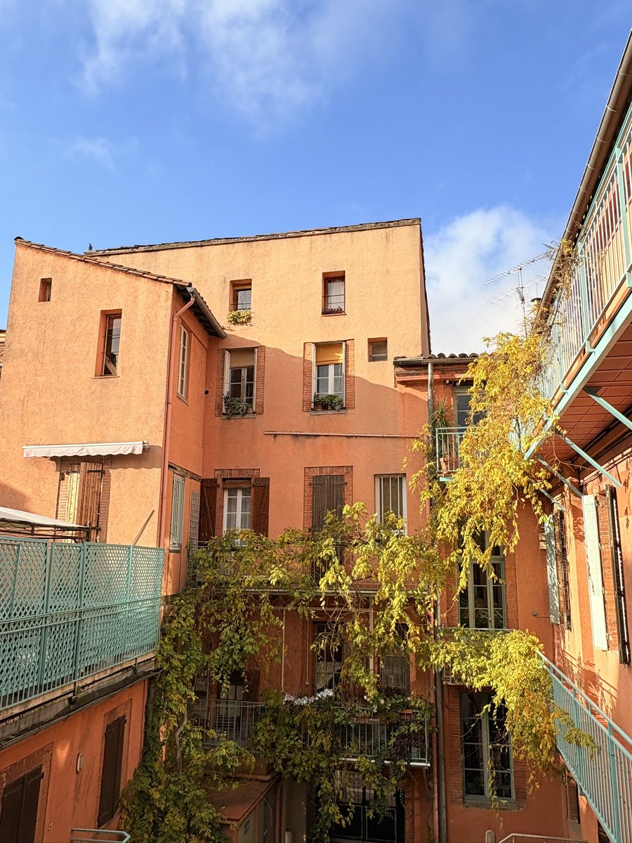 LessFuckU's tweet image. 