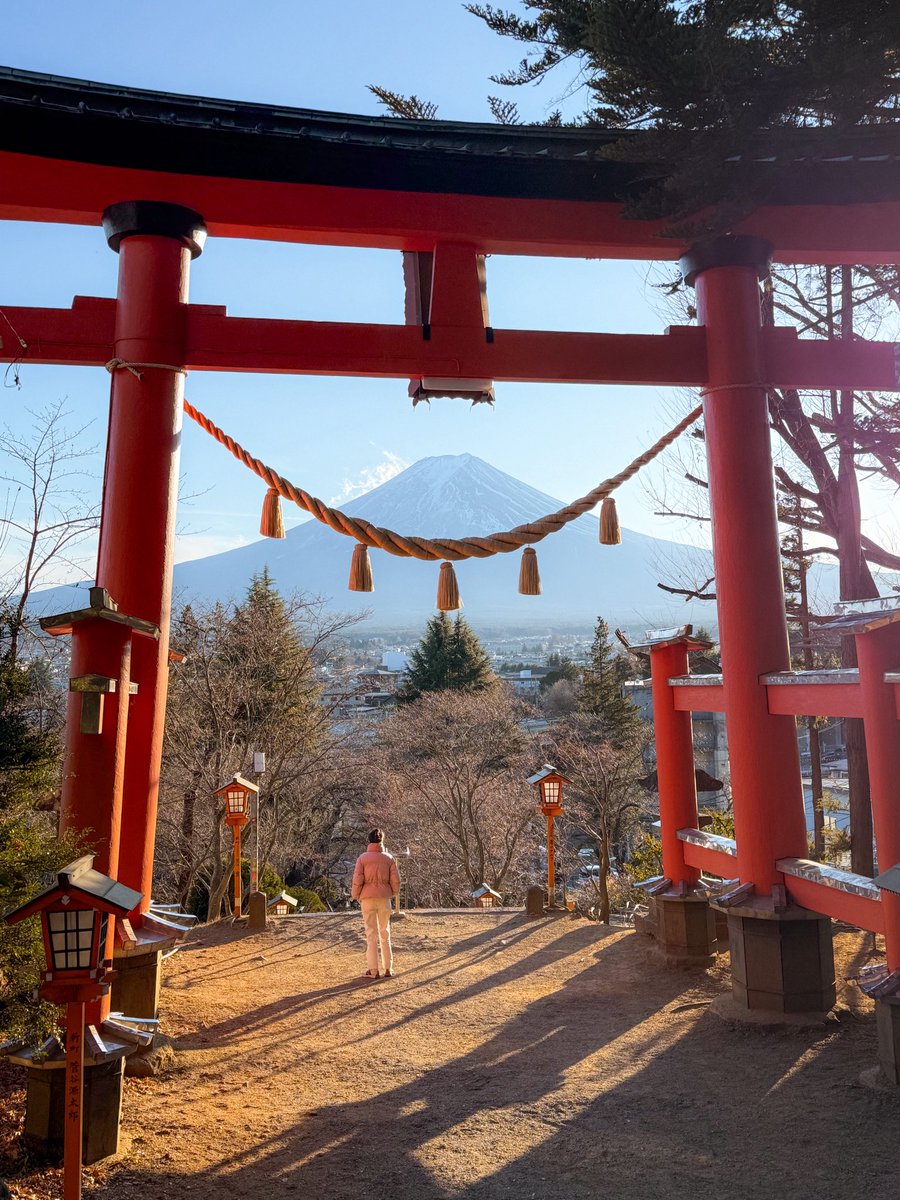 Maxime Visticot tweet media