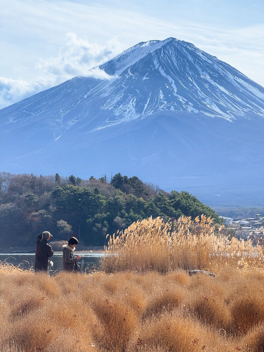 Maxime Visticot tweet media