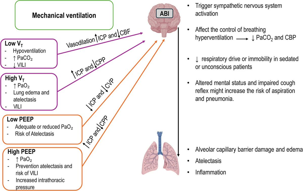 SCCM Neuroscience Section tweet media