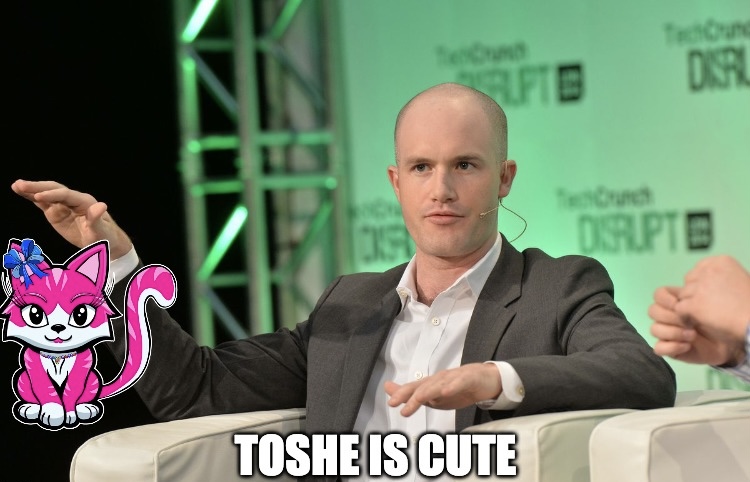 Toshe on Base tweet media