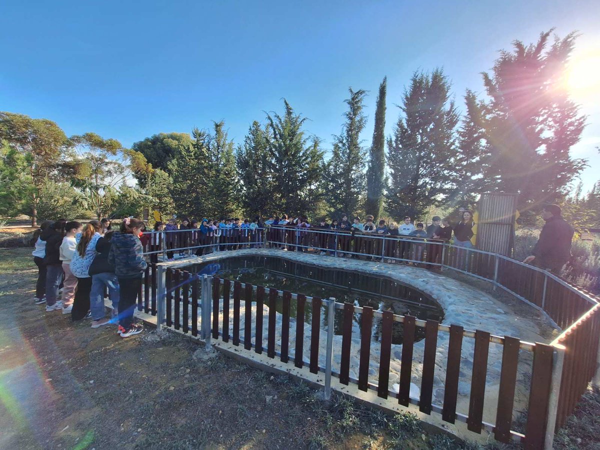 Παιδιά από το Α’ Δημ Σχολείο Μακεδονίτισσας για το Πρόγραμμα «Μαθαίνω για τα Οικοσυστήματα και τα Δάση – LEAF “ ξεναγήθηκαν στο Μελισσοτροφικό Πάρκο Αθαλάσσας στις 16 Δεκεμβρίου 2025.  <a href="/eac_cy/">Electricity Authority of Cyprus</a> <a href="/cytacyprus/">Cyta</a> <a href="/CyMESYpress/">MESY press team</a> <a href="/cymoec/">ΥΠΑΝ Κύπρου</a>