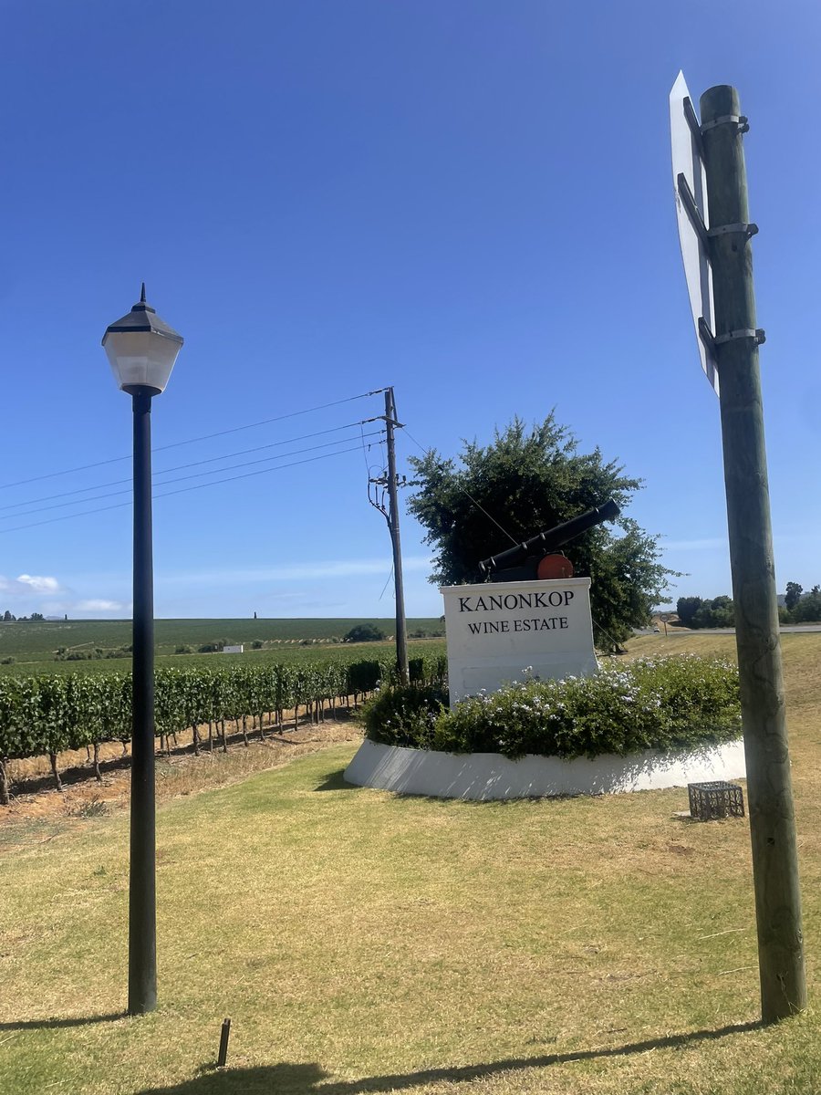 _ahhsahh's tweet photo. Another Day, Another Visit 🍷🥺🤌🏽 https://t.co/cqWpBEFukF