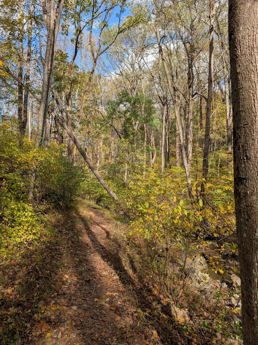 The Journey to Patience 12/17/25 – Hike 10/20/25

A walk in Nature helps restore one’s balance so patience is possible.

In life, challenges abound. I gained insight, help and understanding reading the New Message. Questions about life, the universe and these strange times? Go to