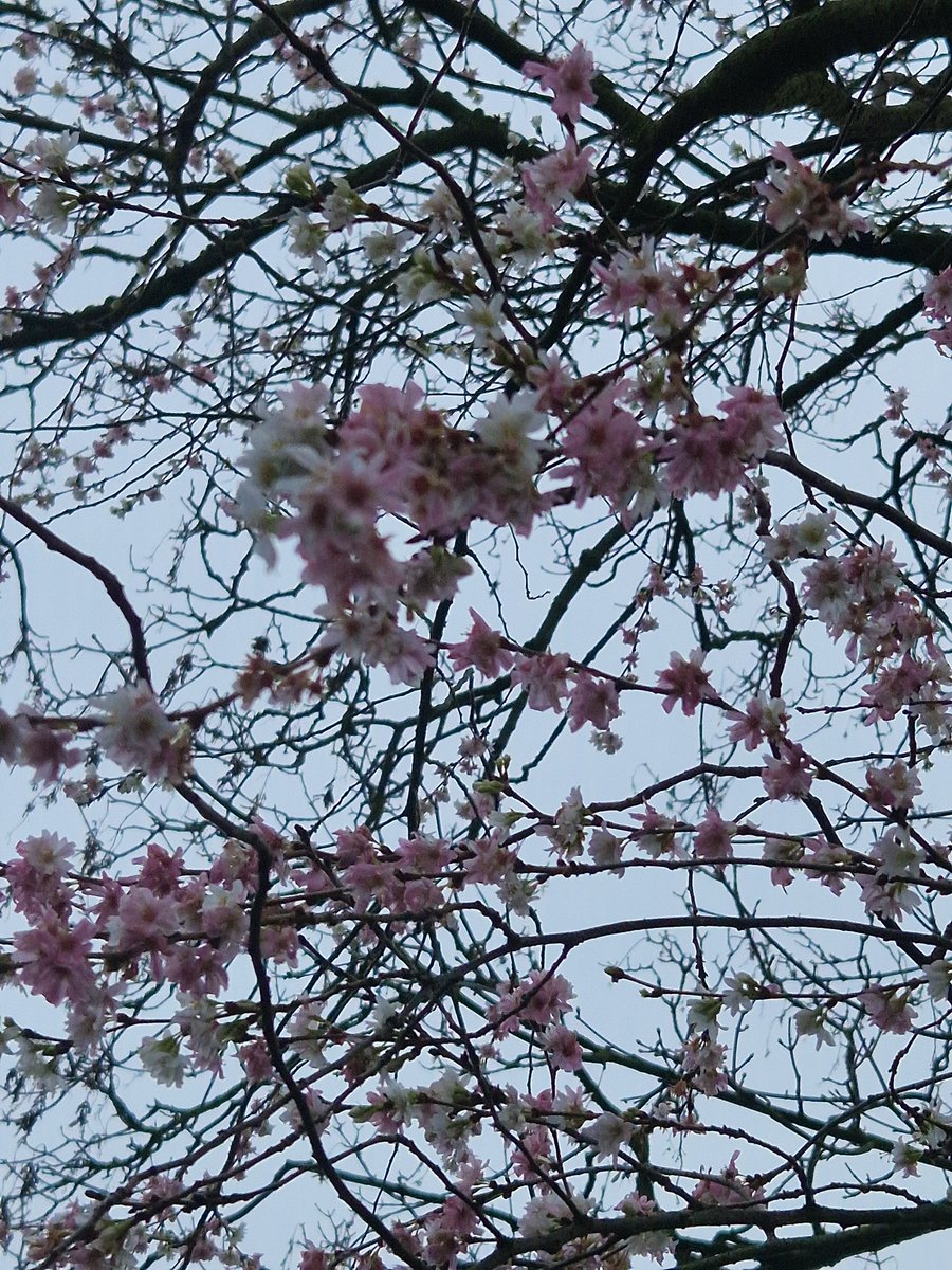 John Rutter tweet media