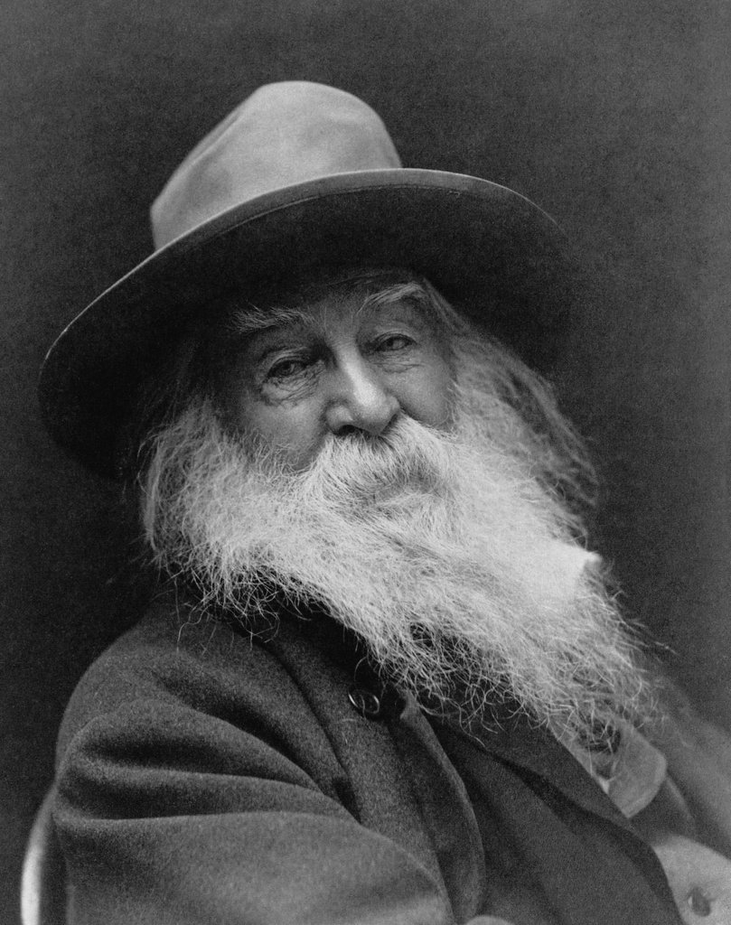“Resist much, obey little.”

― Walt Whitman