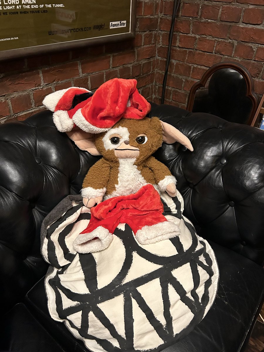 ギズモ (@mog_giz) / Posts / X