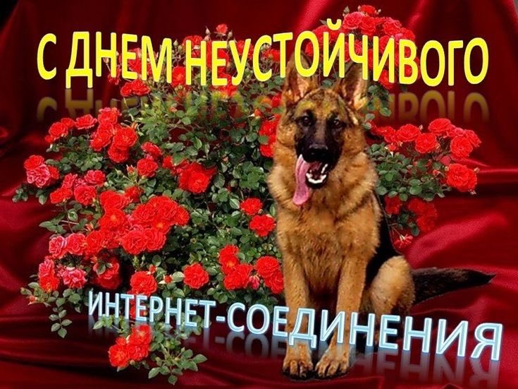 гемі🎐 (@gemi_softy) on Twitter photo 