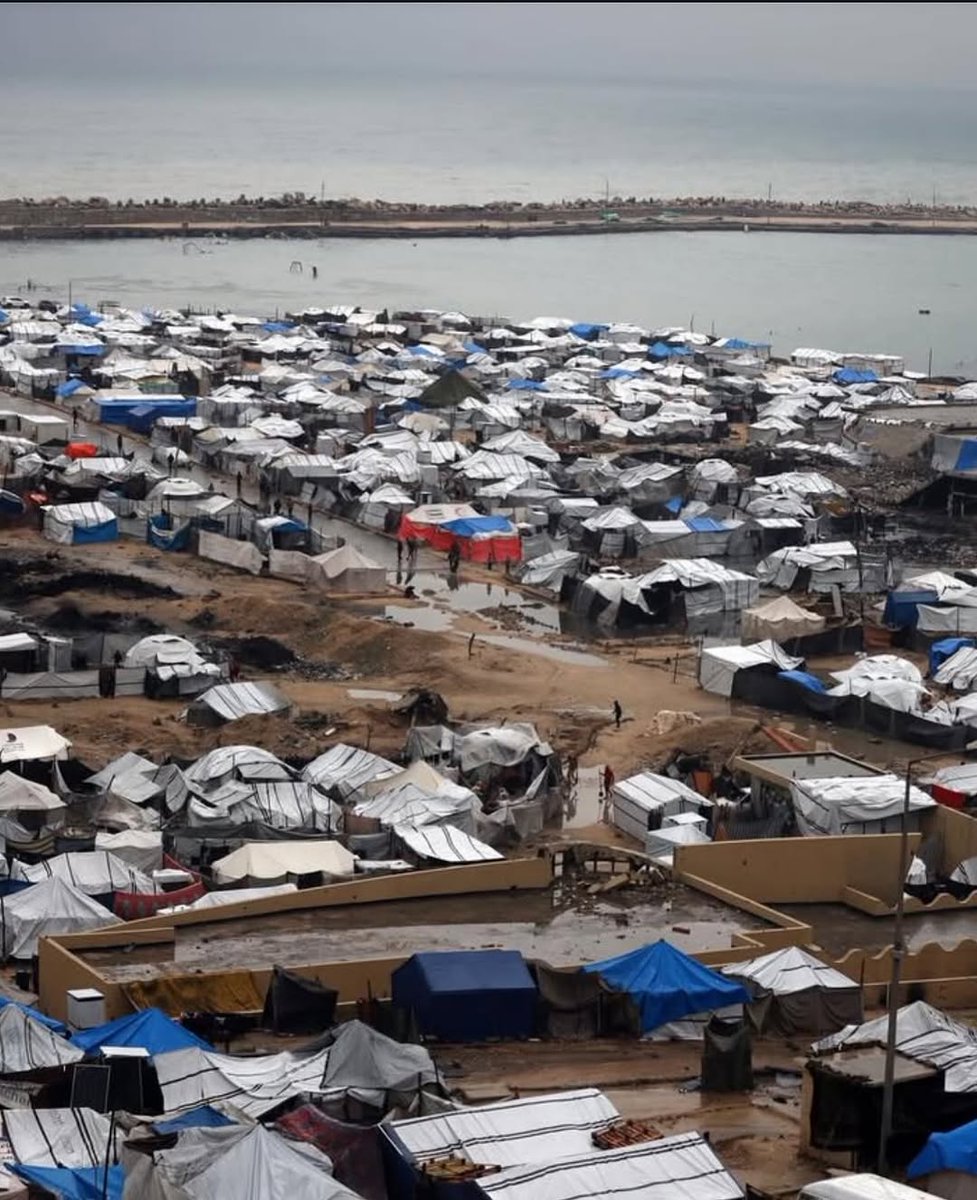 NosaybaYousef's tweet image. اللهُمَّ دفء من لدنك ورحمة لإخواننا يا ربّ.