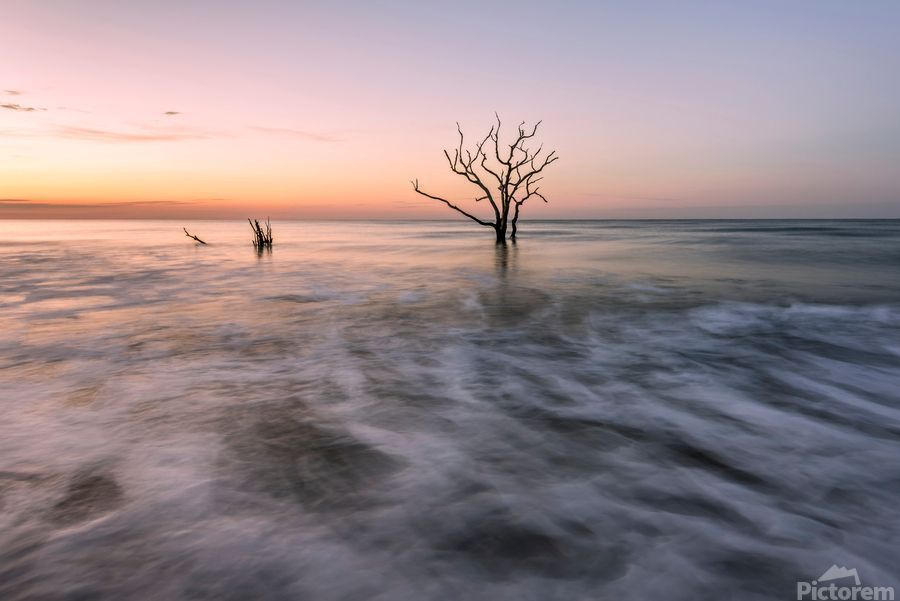 Jon Evan Glaser tweet media