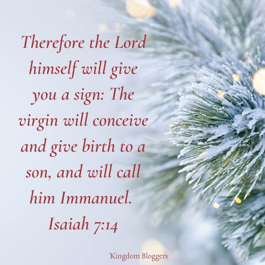 Kingdom Racing (@kingdomracing) on Twitter photo 