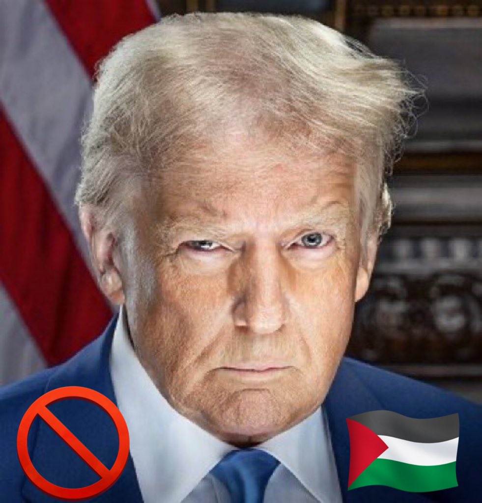 Wolf 🐺 tweet media