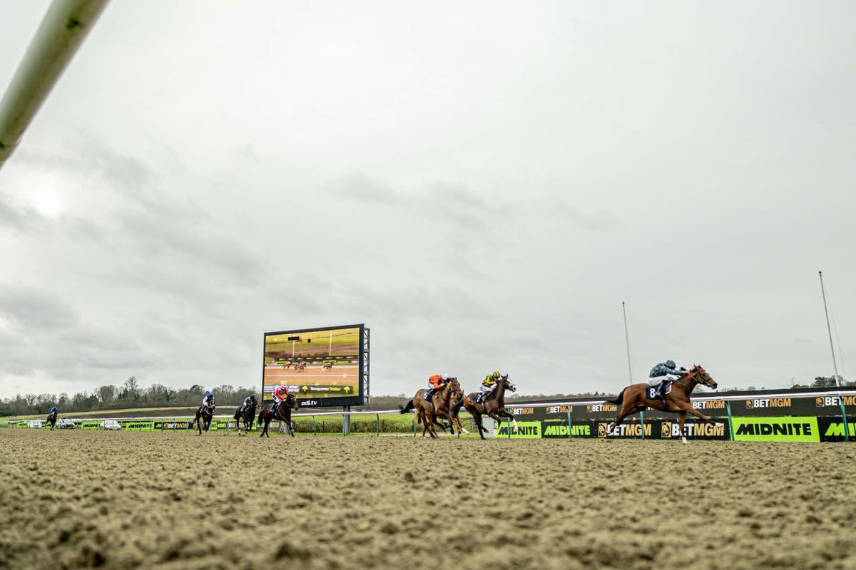 Ed Walker Racing tweet media