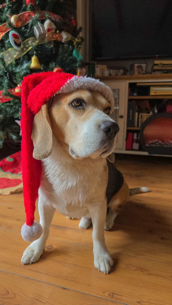 ✖Álex González✖ tweet media