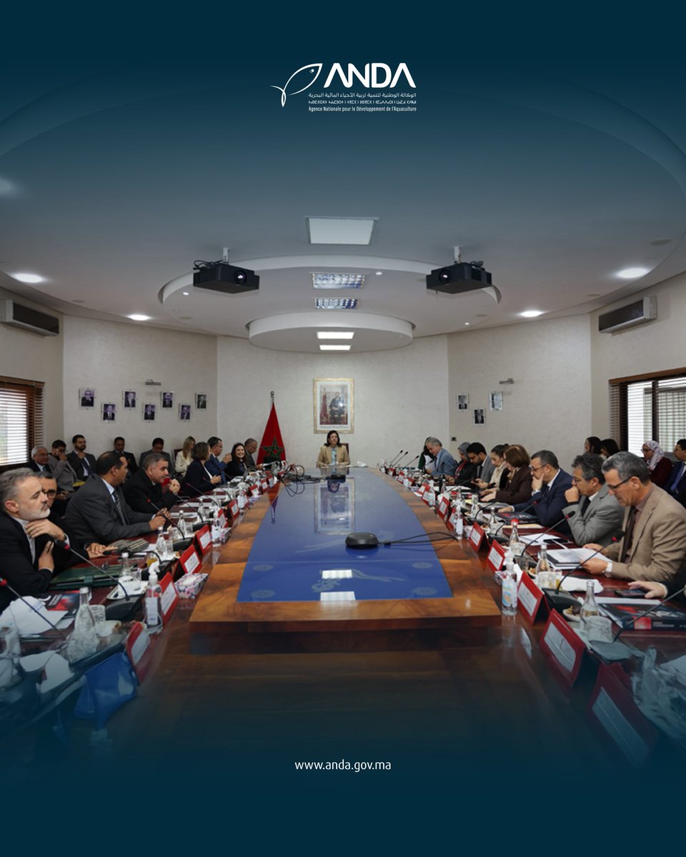 ANDAMaroc's tweet photo. L’Agence Nationale pour le Développement de l’Aquaculture (ANDA) a tenu, ce mercredi 17 décembre 2025 à Rabat, sa 26ème session de Conseil d’administration, présidée par Madame Zakia Driouich, Secrétaire d’État auprès du Ministre de l’Agriculture, de la Pêche Maritime, du Développement Rural et des Eaux et Forêts, chargée de la Pêche Maritime.

عقدت الوكالة الوطنية لتنمية تربية الأحياء المائية البحرية، يوم الأربعاء 17 دجنبر 2025 بالرباط، دورتها السادسة والعشرين لمجلس إدارتها، برئاسة السيدة زكية الدريوش، كاتبة الدولة لدى وزير الفلاحة والصيد البحري والتنمية ��لقروية والمياه والغابات، المكلفة بالصيد البحري.

Lien: https://t.co/8iMZd9B7Cx

#session26 #Anda #Rabat #Aquaculture #economiebleue