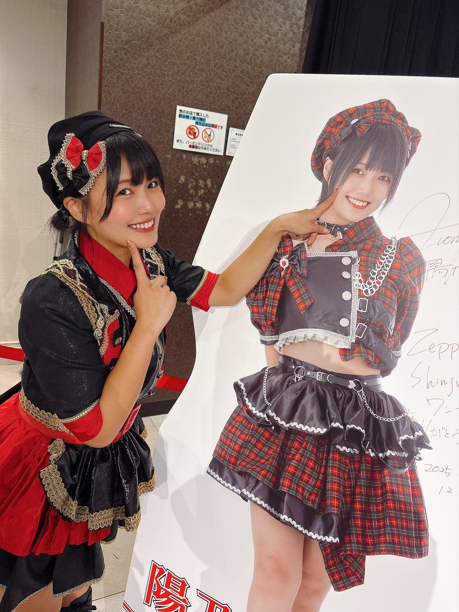 カントリードールおとぼけサンタさんとバニーちゃん「ねね様」専用 即日発送】【サンタコス 5点セット】【XS-XLサイズ/4カラー