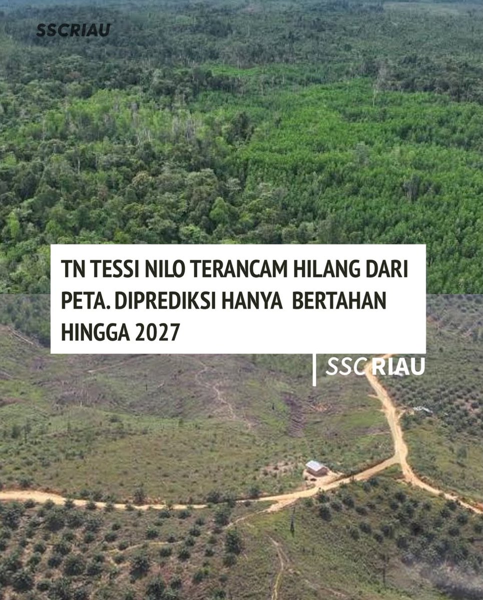 Nanti kita gak bisa lihat gajah gajah lucu itu lagi 😭