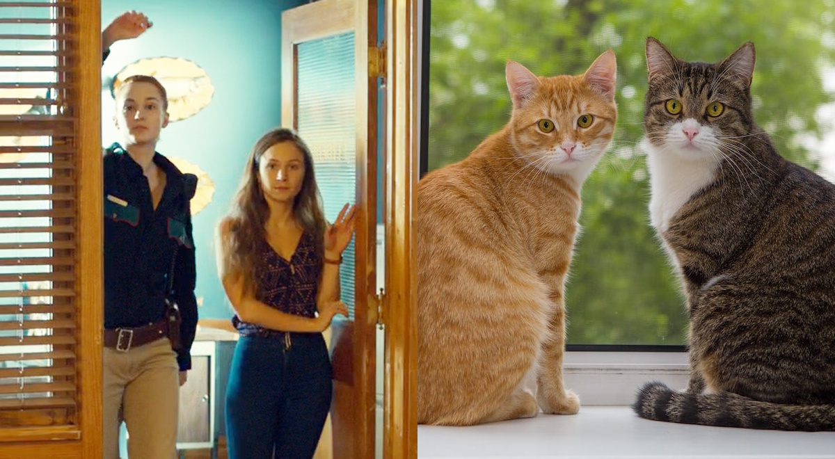 Nedley's Office tweet media