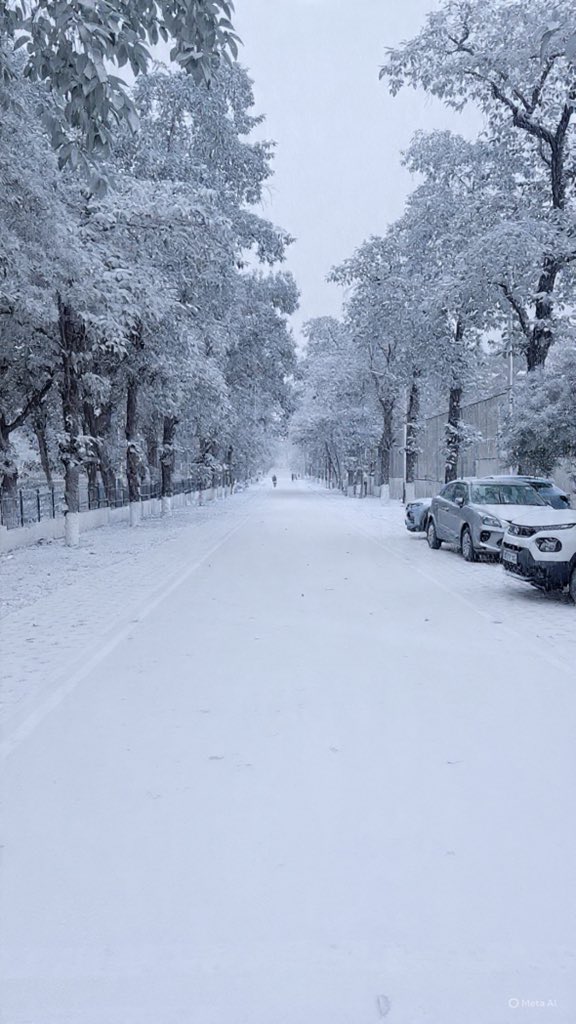 kkmolen's tweet photo. Thanks @GeminiApp , @iitroorkee  me snowfall ke liye 🫠🫠 https://t.co/kjvDt0GZ6C