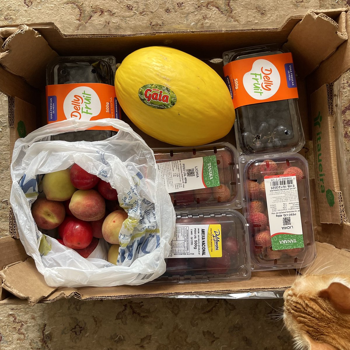 HELLZBTCH's tweet image. esse eh o dia mais feliz da minha vida vei ganhei uma caixona de frutas