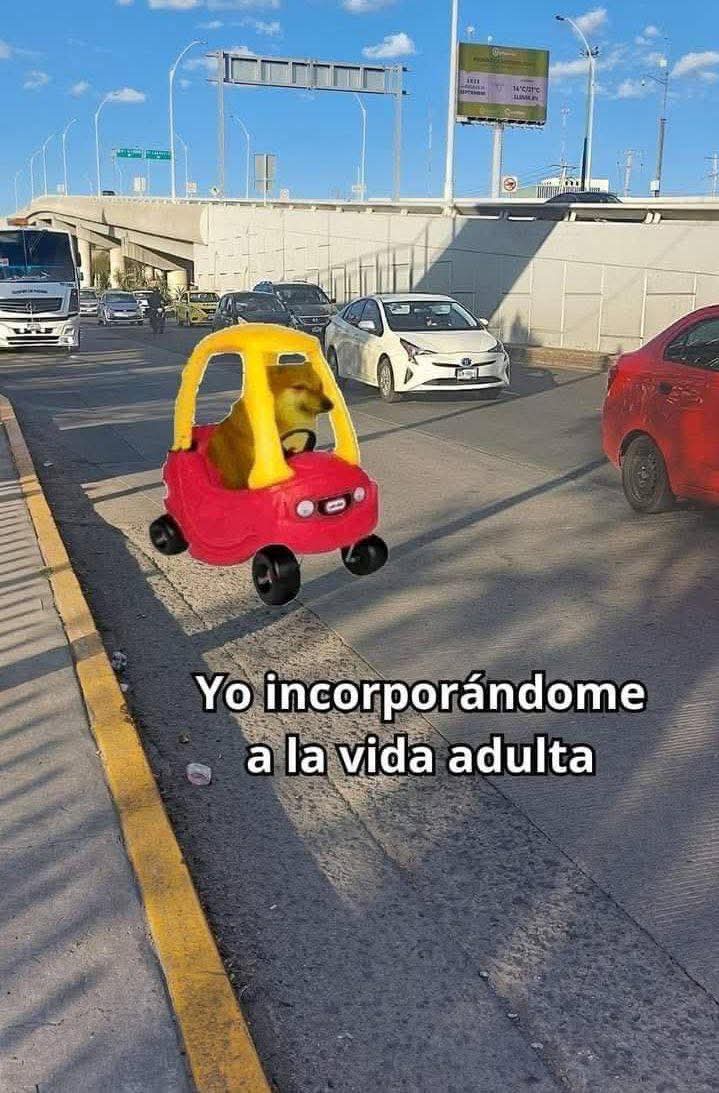 En_jupiter_'s tweet image. 