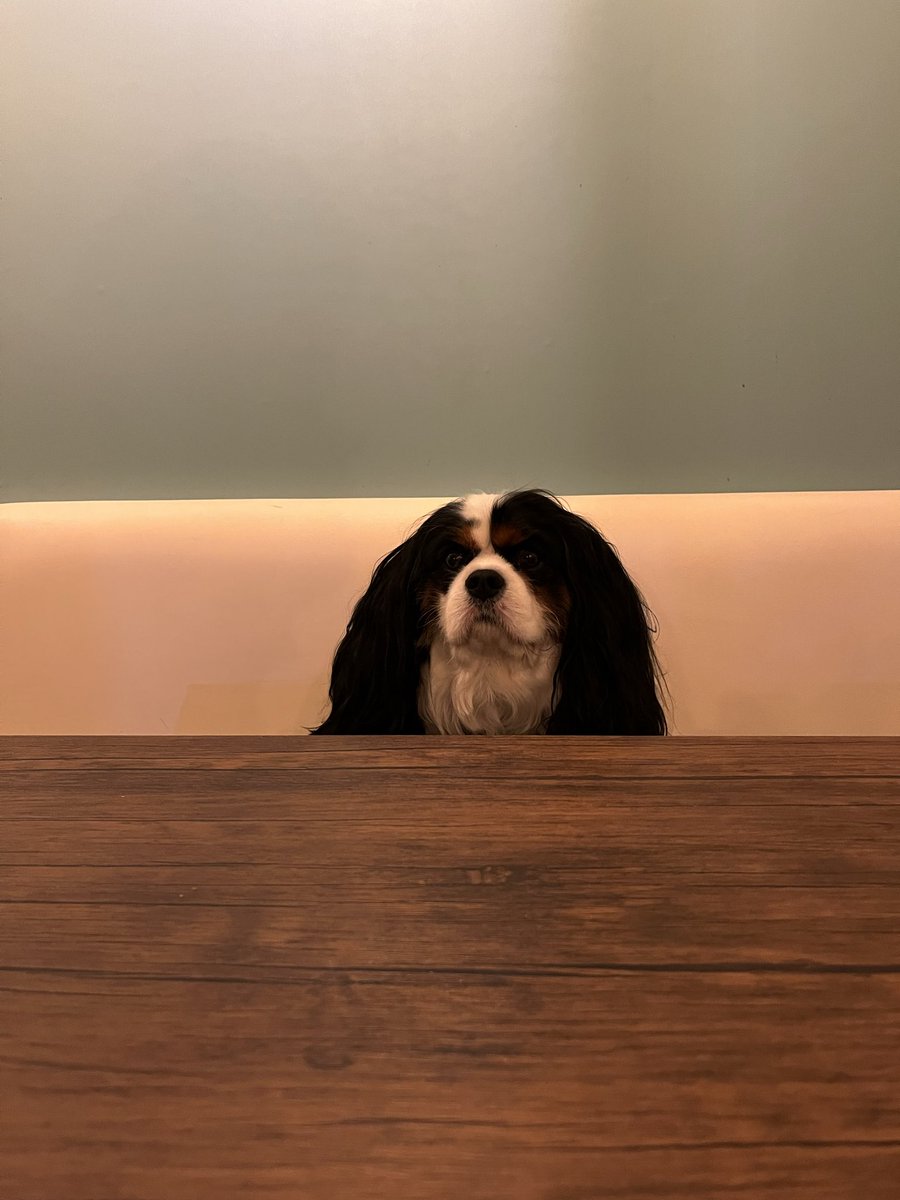 今日は
こいつと
さしのみです