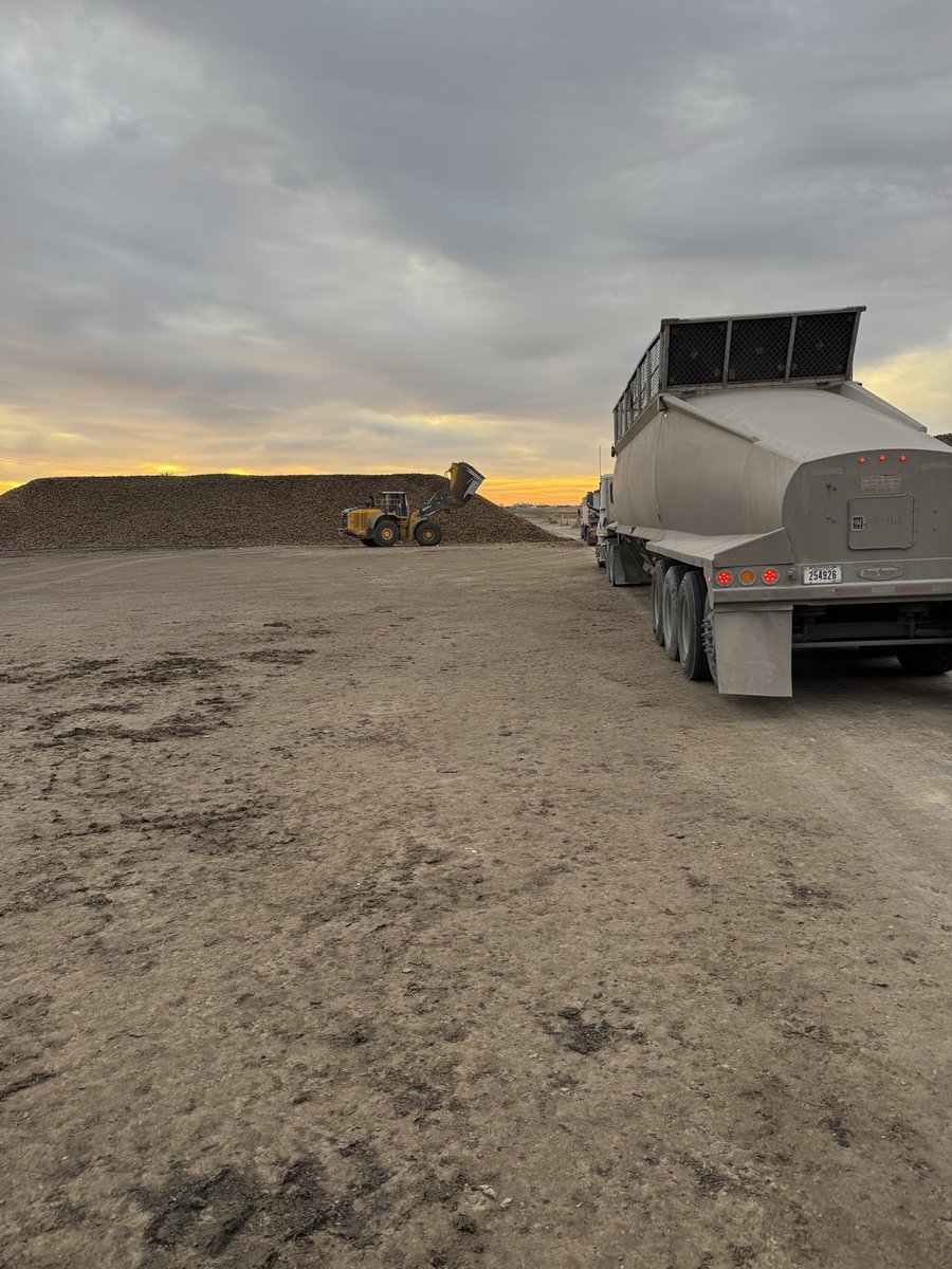 KumpfTim's tweet image. On to the next pile